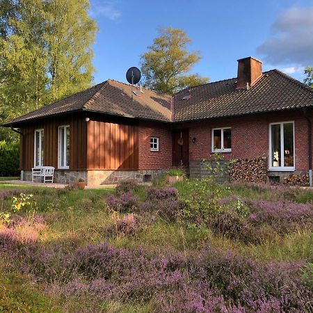 Landhaus Mitten In Der Lueneburger Heide Undeloh Eksteriør bilde