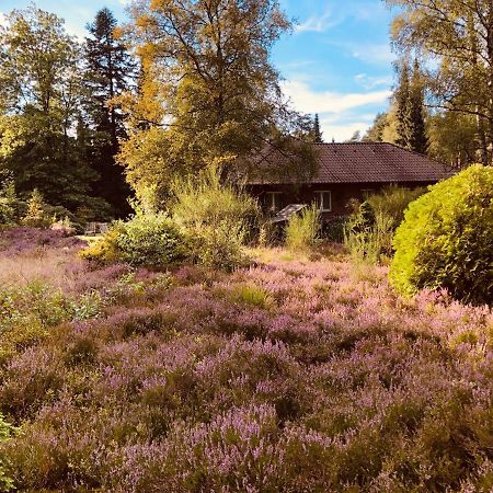 Landhaus Mitten In Der Lueneburger Heide Undeloh Eksteriør bilde