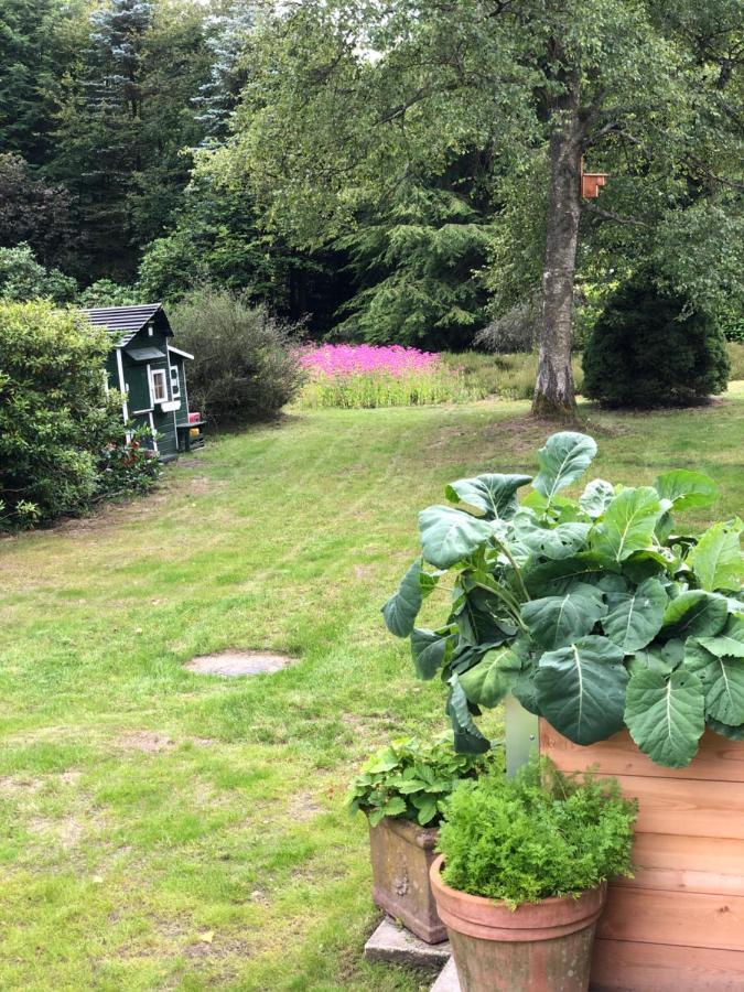 Landhaus Mitten In Der Lueneburger Heide Undeloh Eksteriør bilde