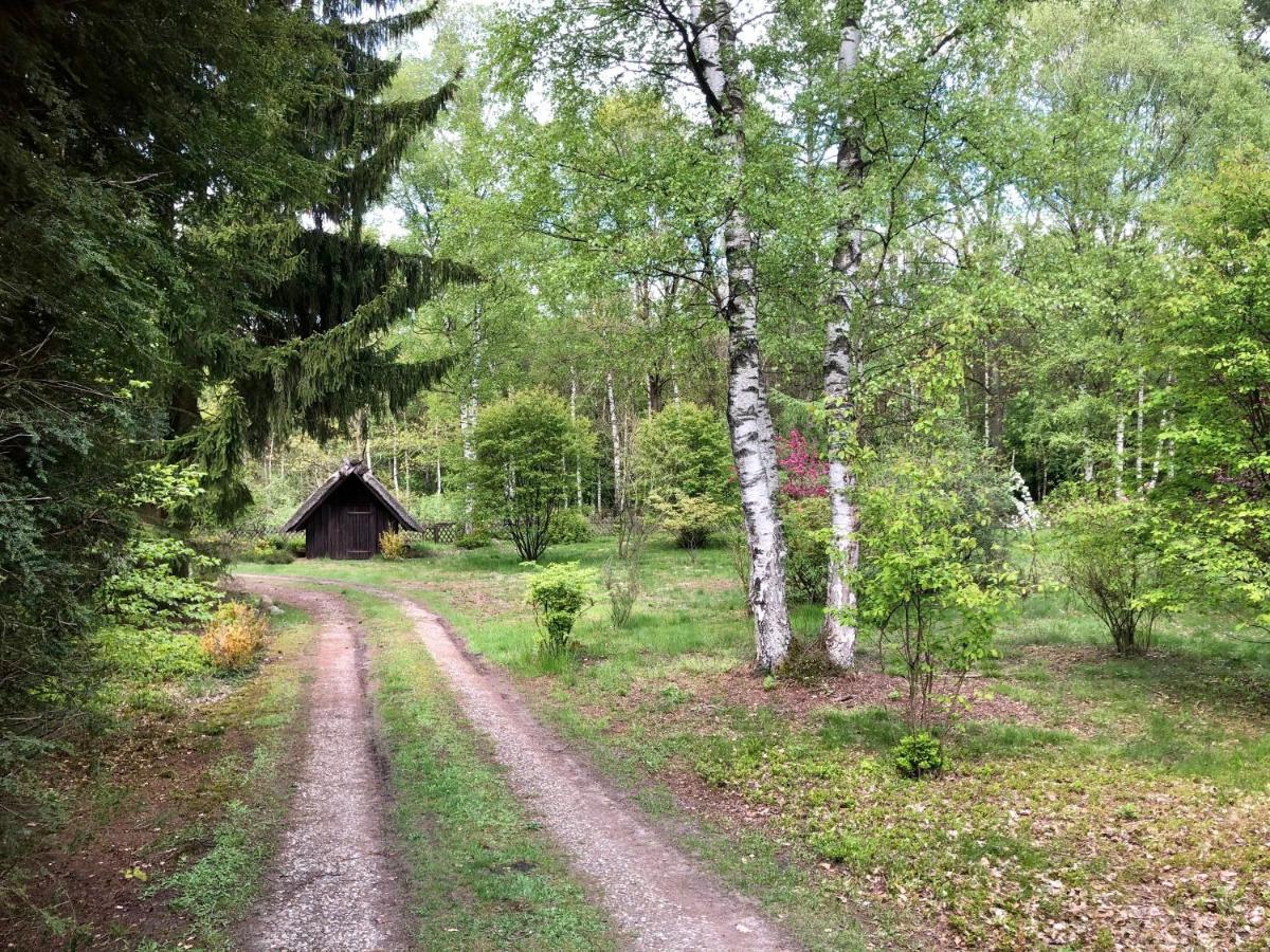 Landhaus Mitten In Der Lueneburger Heide Undeloh Eksteriør bilde
