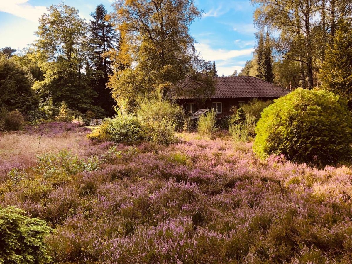 Landhaus Mitten In Der Lueneburger Heide Undeloh Eksteriør bilde