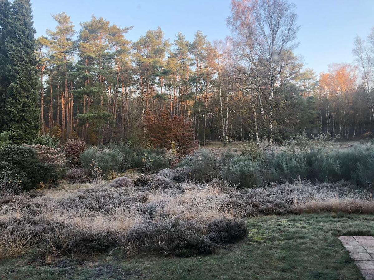 Landhaus Mitten In Der Lueneburger Heide Undeloh Eksteriør bilde