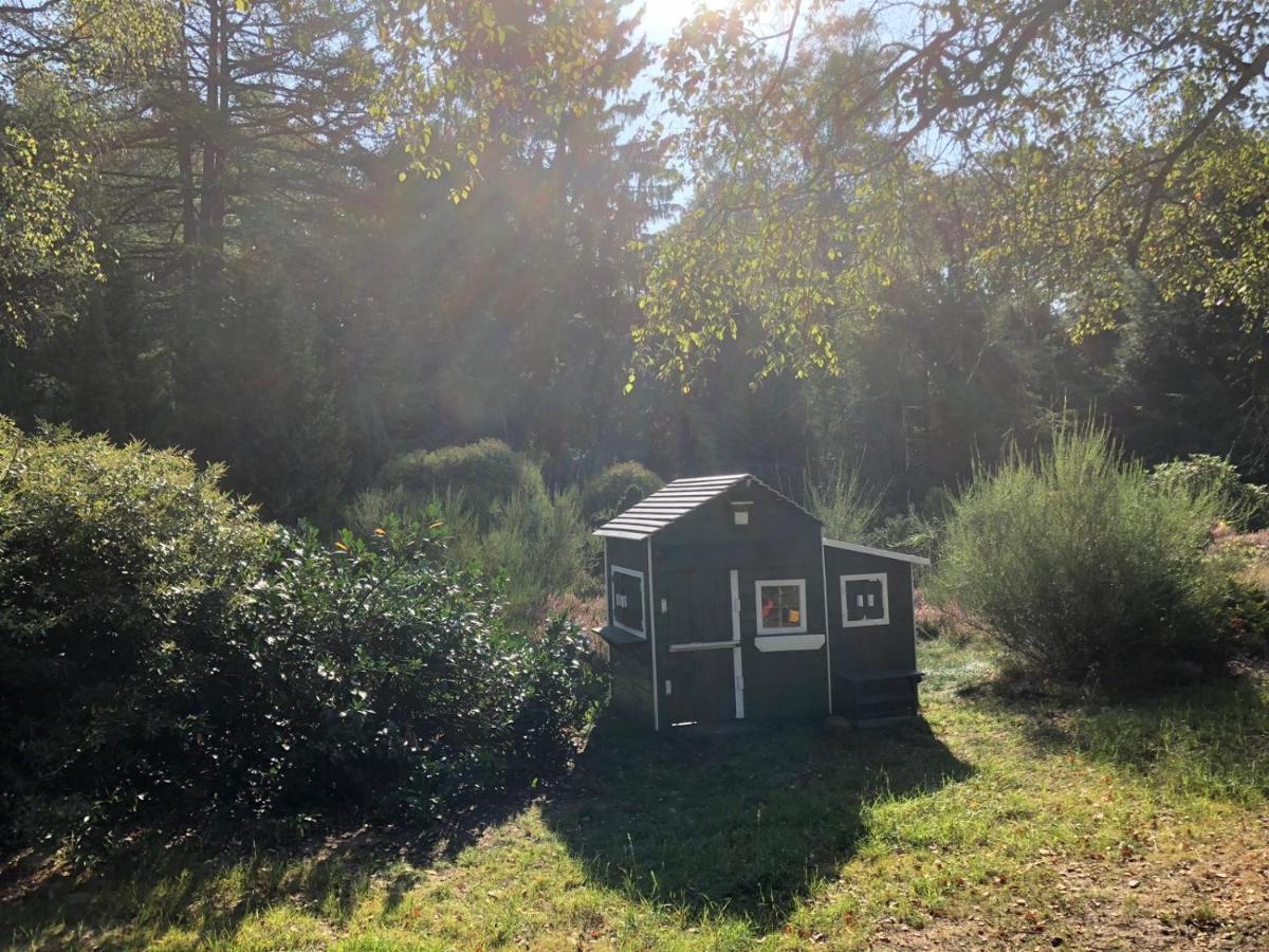 Landhaus Mitten In Der Lueneburger Heide Undeloh Eksteriør bilde