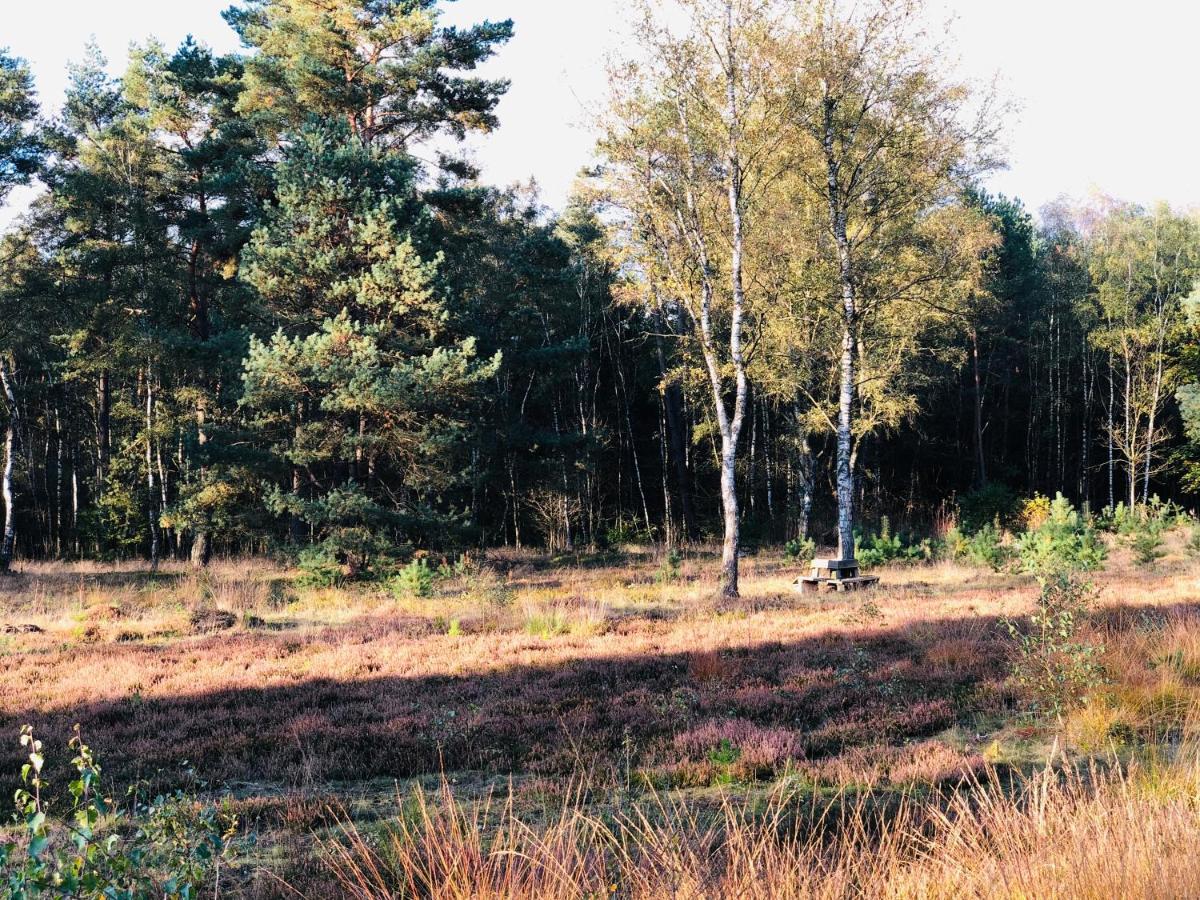 Landhaus Mitten In Der Lueneburger Heide Undeloh Eksteriør bilde
